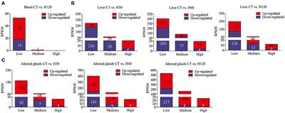 Comprehensive RNA-Seq Profiling Reveals Temporal and Tissue-Specific Changes in Gene Expression in Sprague–Dawley Rats as Response to Heat Stress Challenges